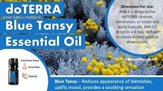 Amazing doTERRA Blue Tansy Essential Oil Benefits [upl. by Atteugram614]