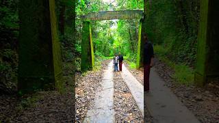 Silent Valley in Attappadi  Kerala  Anaikatti  places to visit near Coimbatore…shorts kerala [upl. by Hemminger]