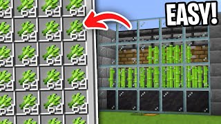 Sugarcane Farm Minecraft 121 JAVA amp BEDROCK [upl. by Pollack]