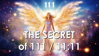 111 or 1111 Angel Number Meaning  Trust Divine Timing to Grow [upl. by Goltz]