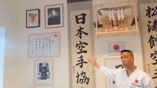 Ryan Hayashi  Karate Video Lesson 9  Welcome To Hayashi Dojo  JKA [upl. by Radburn]