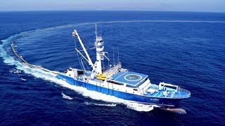 Amazing Catching Thousands Tons of Tuna Fish With Modern Big Boat  Fastest Squid Fishing Trawl [upl. by Lewanna]