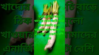 হজম শক্তি বাড়বে সেই সঙ্গে এনার্জি ও পাবেনshorts radish [upl. by Cavan585]