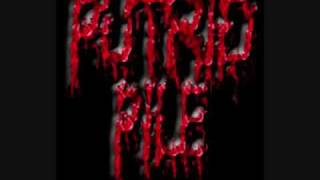 Putrid Pile  The Gorebox [upl. by Georgeta142]