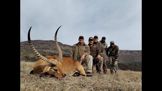 Day 07 Lechwe and Vaal Reedbuck [upl. by Gianna]