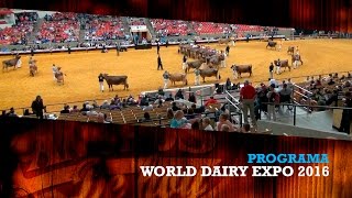 WORLD DAIRY EXPO 2016 [upl. by Ahsikal]