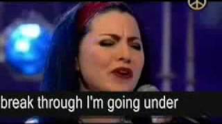 Evanescence Going Under Acoustic Live w Lyrics [upl. by Haikezeh]