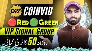 Coinvid Red Green Game VIP Signal Group  Earn 50 Dollers Daily [upl. by Anilosi616]