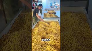 Processing Corn Wine [upl. by Ococ305]