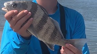 Surf Fishing Edisto Beach [upl. by Tavey]