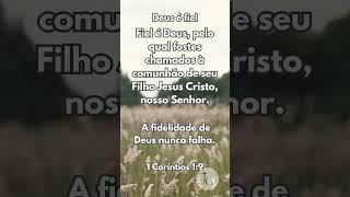 Deus é Fiel e Sempre Cumpre Suas Promessas 🙏✨ 1 Coríntios 19 [upl. by Akehsyt]