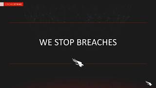 Welcome to CrowdStrike [upl. by Raama393]