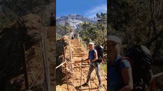 An incredible journey Mount Kinabalu hike adventure nature naturelovers shortsviral shorts [upl. by Aieka780]