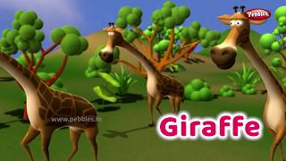 Interesting Animal Facts  Giraffe  Giraffe Essay in English  Learn Animals  Giraffe Song Kids [upl. by Devine528]