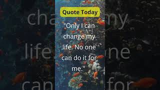 Quote Today [upl. by Arimay]