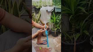 Technique to fix PVC pipe faucet low water pressure shorts [upl. by Annoyik866]