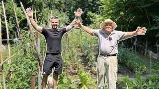 Now This Is What You Call An Italian Garden  Tour Of My Nonnos Garden [upl. by Idac699]