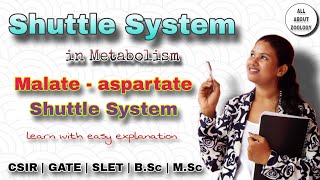 Malate Aspartate Shuttle System in Metabolism  Function  Role  Cellular Respiration  Biology [upl. by Morvin704]