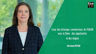 Essor des échanges commerciaux de lASEAN avec la Chine  des opportunités et des risques [upl. by Neilson]