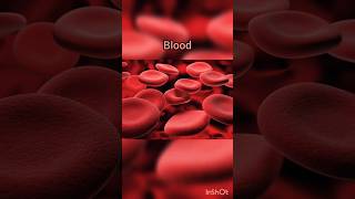 Blood amp its components  Blood plasma  Blood cells blood plasma RBC WBC Platelets shorts [upl. by Leanatan]