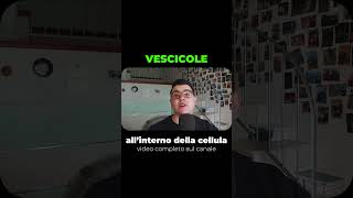 Vescicole cellulari tutti i tipi di endocitosi [upl. by Crudden]