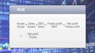 Basics of Fundamental Analysis [upl. by Bram170]