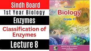 classification of enzyme  enzyme class 11 biology fsc part 1 biology federal Board [upl. by Ppilihp947]