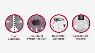 Luminex Detection Methods  Molecular Diagnostics amp Life Sciences [upl. by Idel193]