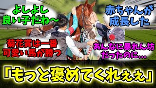 【競馬】「みんなから褒められてるアーバンシック 可愛すぎる」に対する競馬民の反応集【反応集】【アーバンシック】【菊花賞2024】 [upl. by Santoro831]