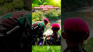 Marinir turun tangan lumpuhkan buaya raksasa komando prajurit marinir tnial abdinegara bravo [upl. by Noreh]