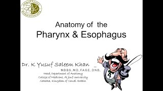 Anatomy of Pharynx amp Esophagus Complete  Dr Yusuf [upl. by La Verne]