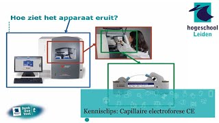 Kennisclip Capillaire Electroforese CE ingesproken [upl. by Nunnery]