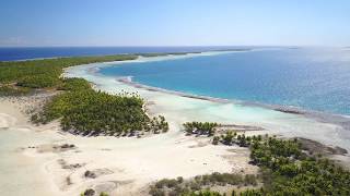 The magical Blue Lagoon of Rangiroa [upl. by Goldshlag]