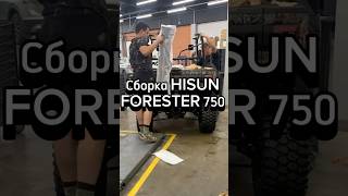 Сборка багги HISUN FORESTER 750🔥 [upl. by Hsan342]