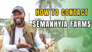 HOW TO CONTACT FARMING IN AFRICA AND SEMANHYIA FARMS [upl. by Htnnek]