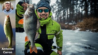 Guide Ultime  Pêcher la Perche en Hiver  Astuces et Techniques Efficaces [upl. by Shreve331]