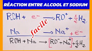 ALCOOL RÉACTION [upl. by Infield]