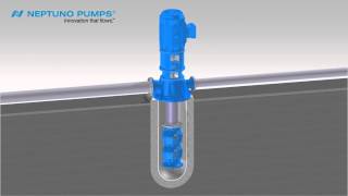 Neptuno Pumps® Vertical Can Type Pump [upl. by Jim]