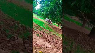 Bagal wali Jaan mareli 🚜🚜🚜 viralvideo trending swarajtractarpower farming swarajtractor [upl. by Shalne989]