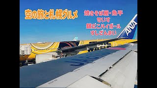 【札幌旅】飛行機とグルメ [upl. by Enyamrahc642]