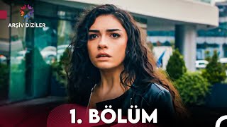 Hayat Sırları 1 Bölüm [upl. by Malda]