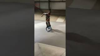 Rob Ridge BMX Freestyle Spit and Sawdust Skatepark 2017  pt3 [upl. by Sesylu935]