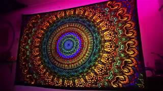 Origin of Life  Tapestry Projection [upl. by Demb]