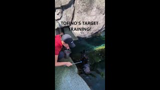 Tofinos target training [upl. by Bee113]