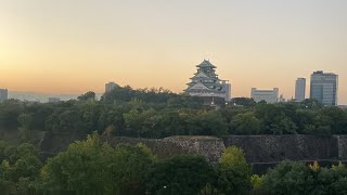 Osaka Castle 04112024 [upl. by Joice708]