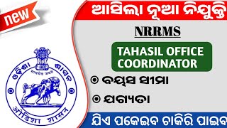 Tahasil Office Coordinator Recruitment 2024 [upl. by Sremlahc688]