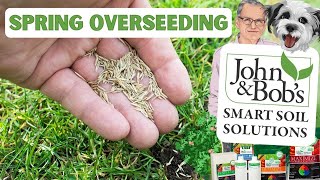 Overseeding Lawn In Spring  Spring Lawn Care [upl. by Aryhs]