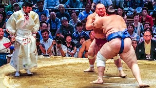 JAPAN NATIONAL SUMO TOURNAMENT [upl. by Goodkin]