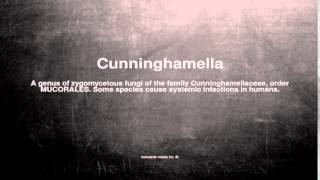 Medical vocabulary What does Cunninghamella mean [upl. by Ettena]