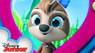 Sunny the Sloth  Calling All TOTS  TOTS  Disney Junior [upl. by Luapnoj]